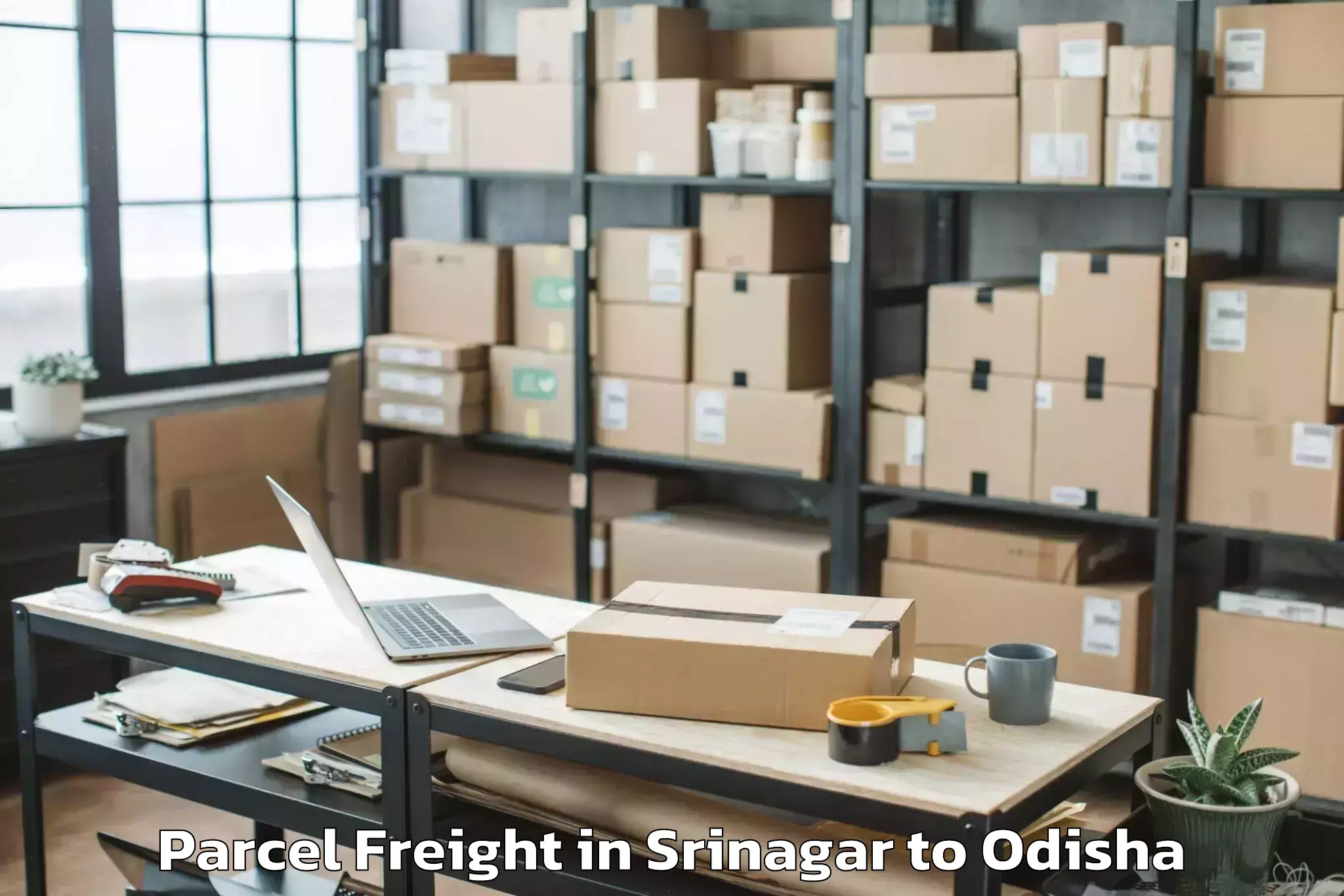 Reliable Srinagar to Cuttack Parcel Freight